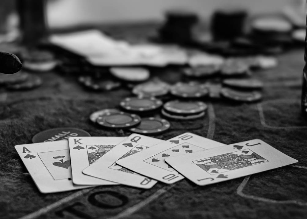 l'articolo completo
